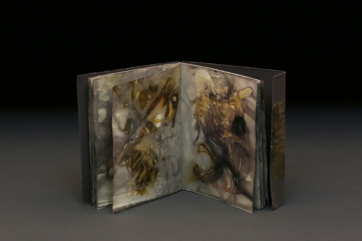 Dorothy Simpson Krause