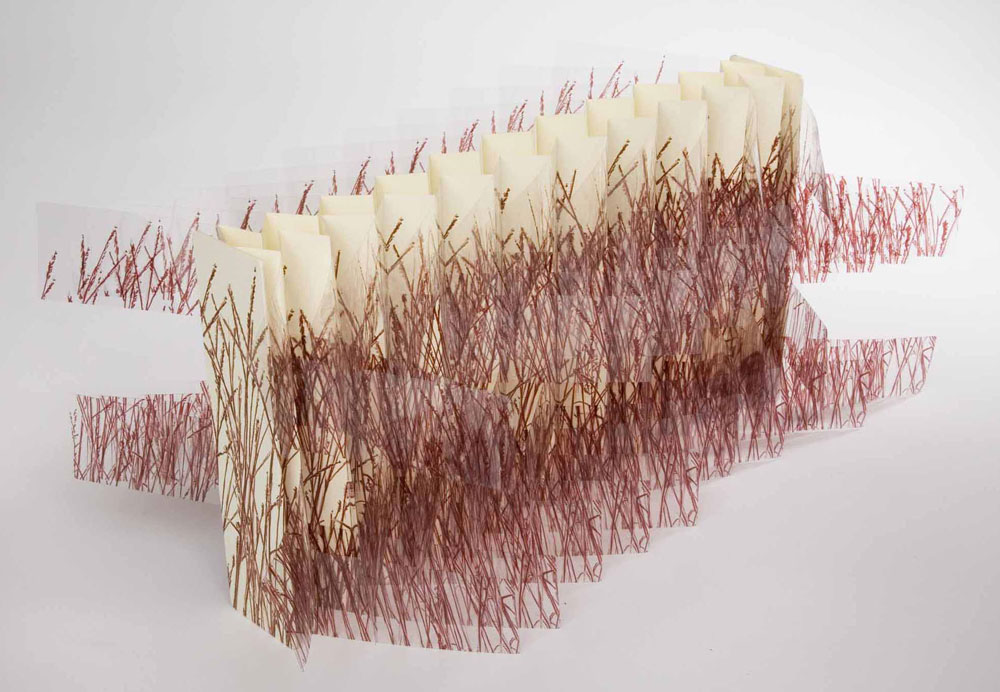 Bluestem | 2006: Illustration in collaboration with Henry Maron