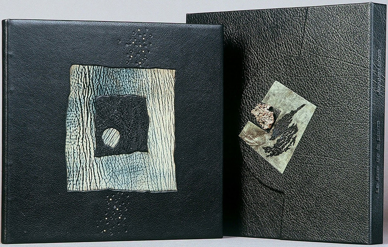 Goat skin binding with onlay of reversed skin by Lise Dubois Goat skin binding with onlay of reversed skin by Lise Dubois