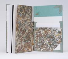 Books Will Speak Plain (Interior)